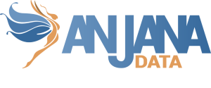 logo anjana data big 1024x425